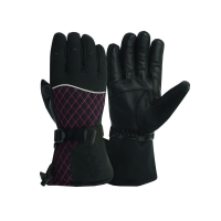 Motorbike Winter Gloves 