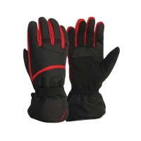 Motorbike Winter Gloves 